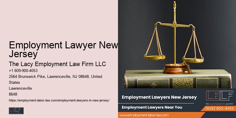 Employment Litigation Lawyer NJ