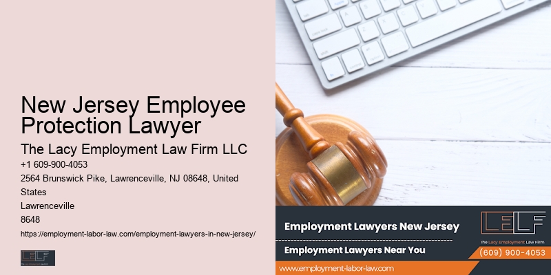 New Jersey Employee Protection Lawyer Employment Compliance Services