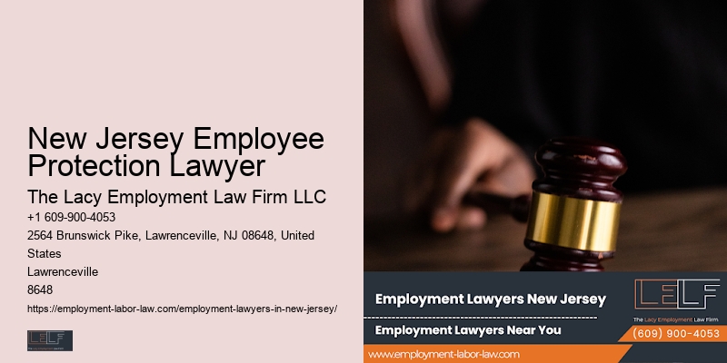 New Jersey Employee Protection Lawyer Employment Law Consultant