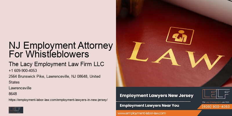 Employment Law Expert NJ