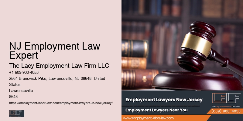 NJ Employment Law Expert Workplace Legal Advisor