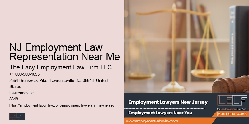 NJ Public Sector Employment Lawyer