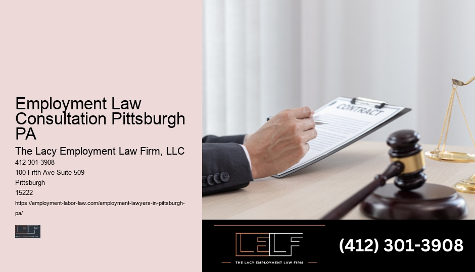 Pittsburgh Employment Lawyer Support