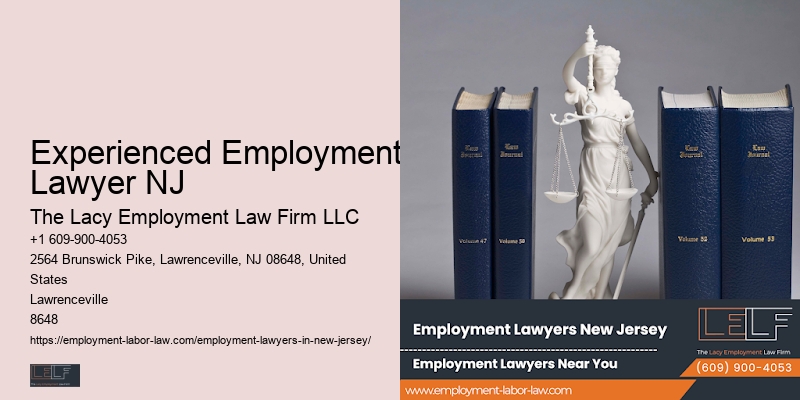 Workplace Legal Guidance Experienced Employment Lawyer NJ
