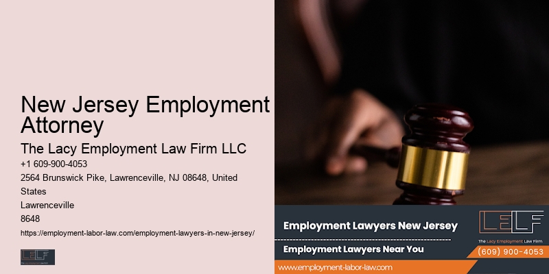 Employment Litigation Attorney New Jersey Employment Attorney