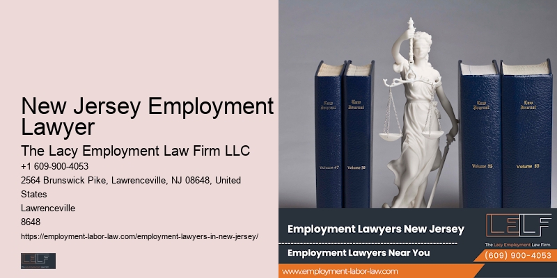 Skilled New Jersey Employment Lawyer Employment Lawyer
