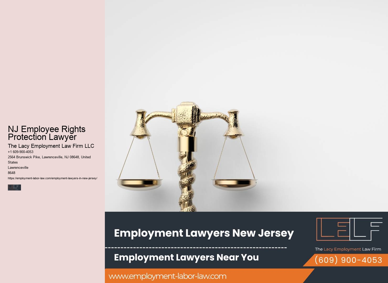 NJ Employment Law Specialist Services