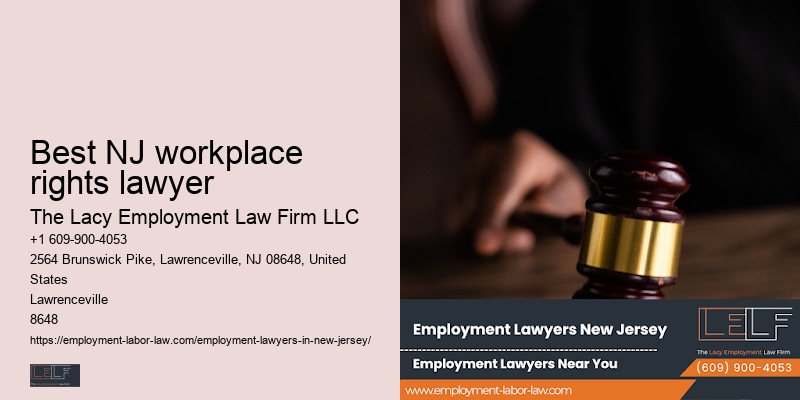 Employment dispute attorney Best NJ workplace rights lawyer