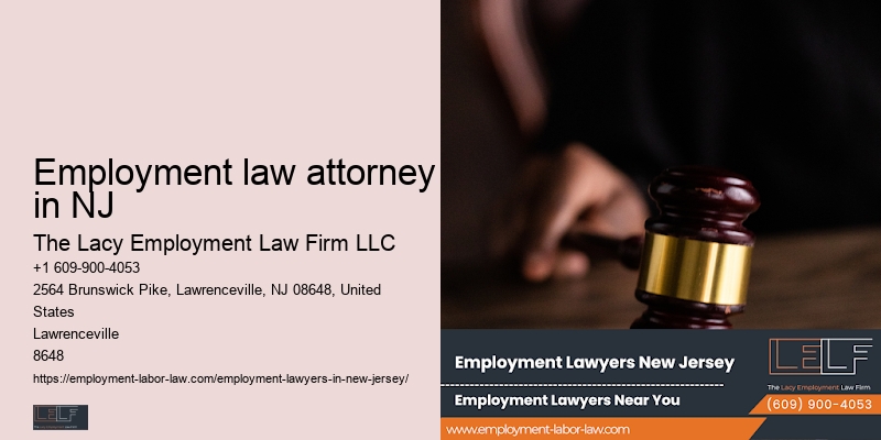 qualified NJ employment law specialist