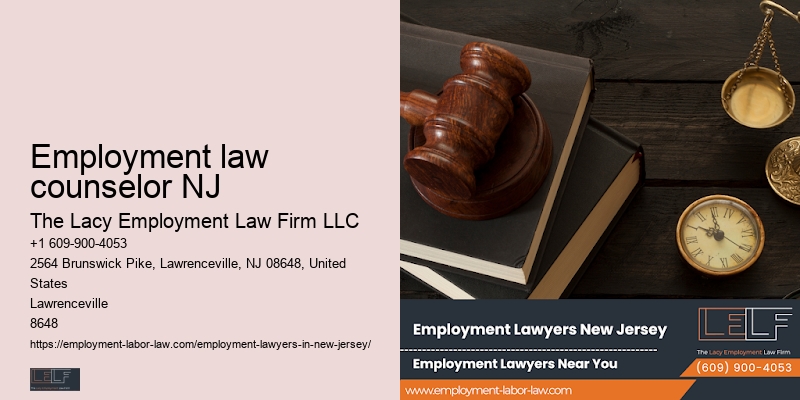 Top employment lawyer NJ