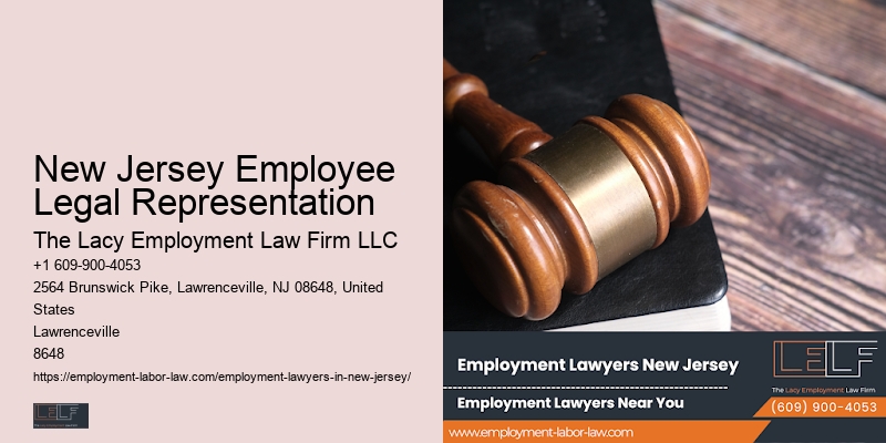 New Jersey Employee Legal Representation employment litigation attorney case management