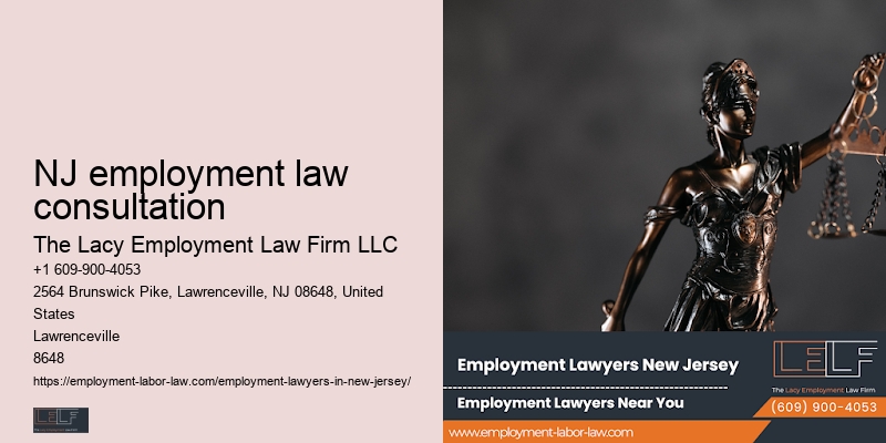 NJ employment dispute representation