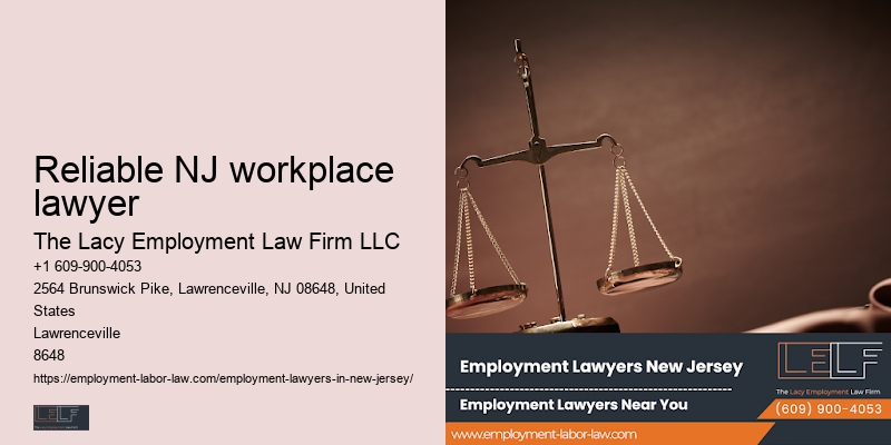 skilled NJ employment law specialist