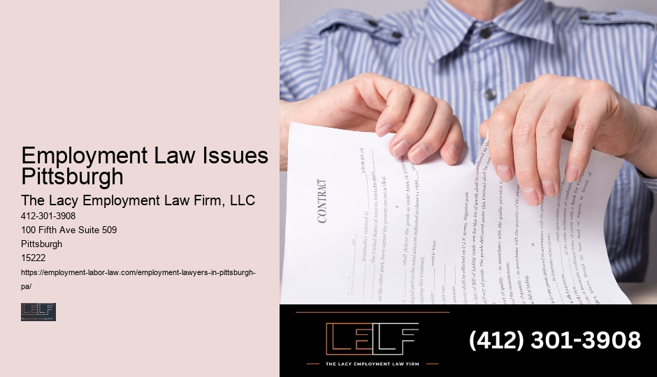 Employment Law Issues Pittsburgh Employee Lawyer