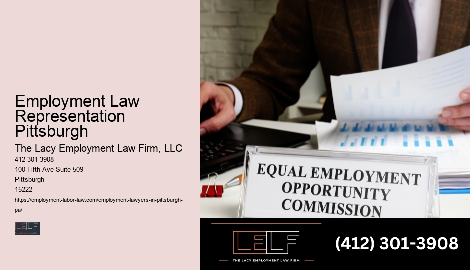 Pittsburgh'S Top Employment Law Firm